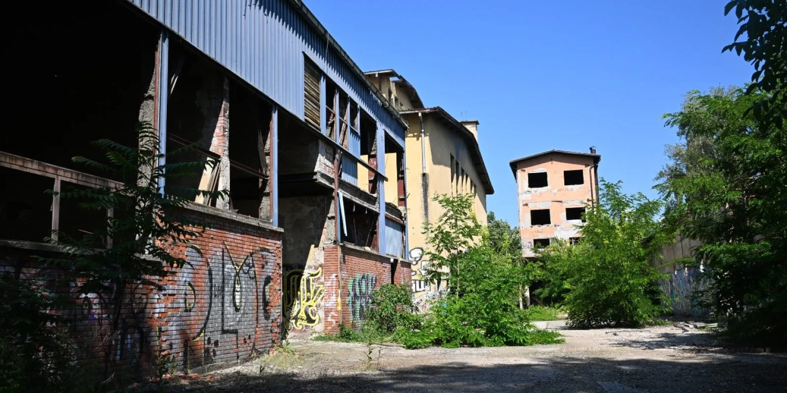 11.webp