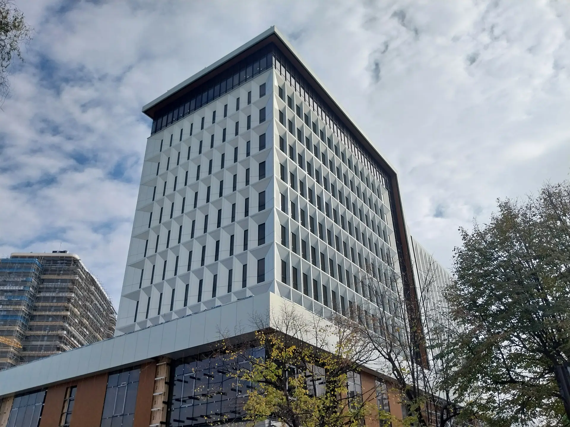 22.webp