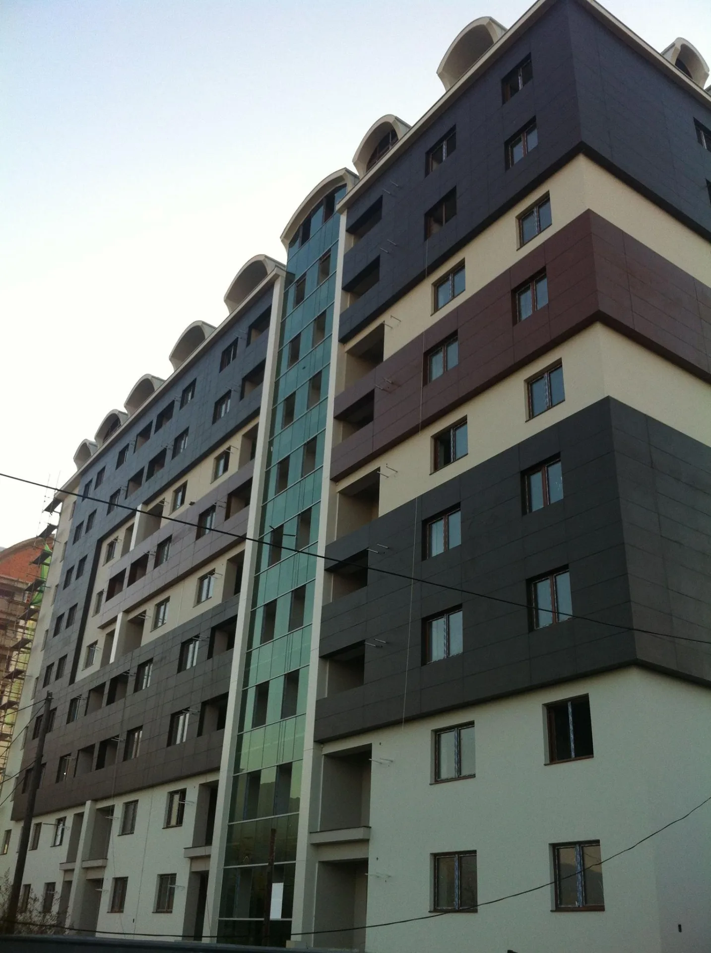 8.webp