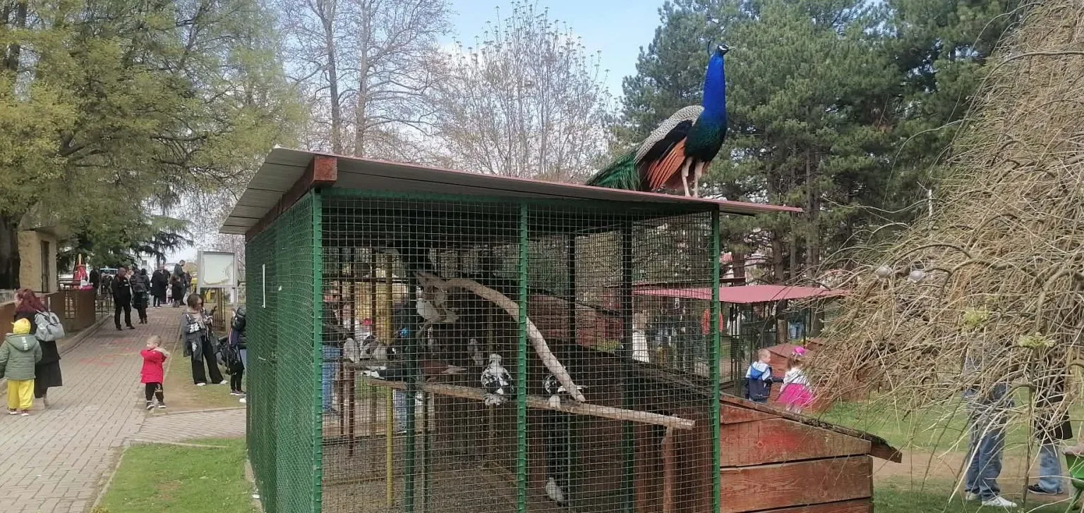 zoo-park-stip-11042026-1-1536x728.webp