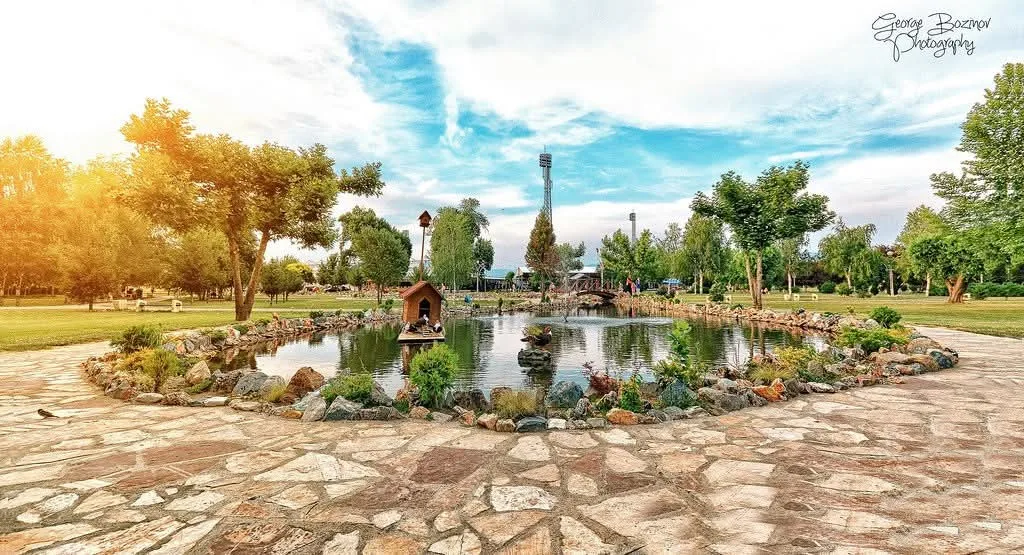 fb-img-1782574476766.webp