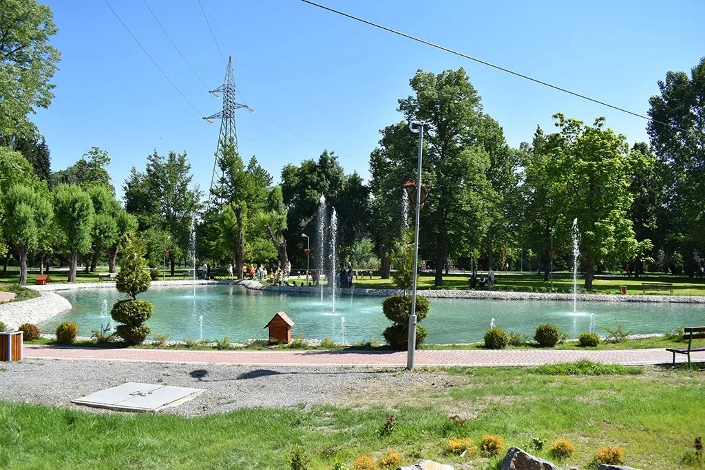 dsc-0431.webp