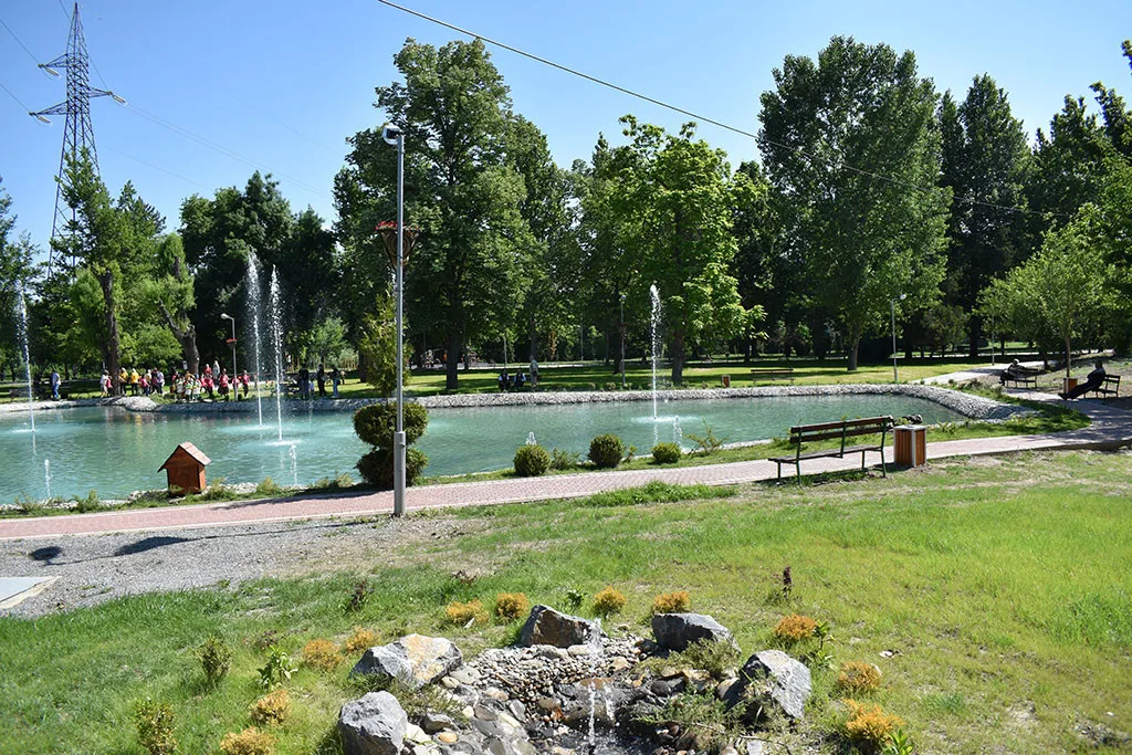 dsc-0426.webp